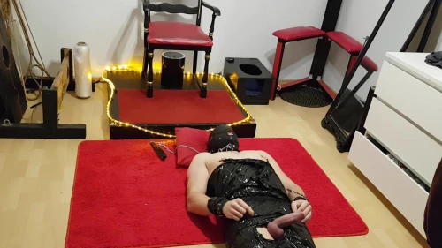 Ver La amante del látex posee la polla palpitante del esclavo atado en SadoOnly